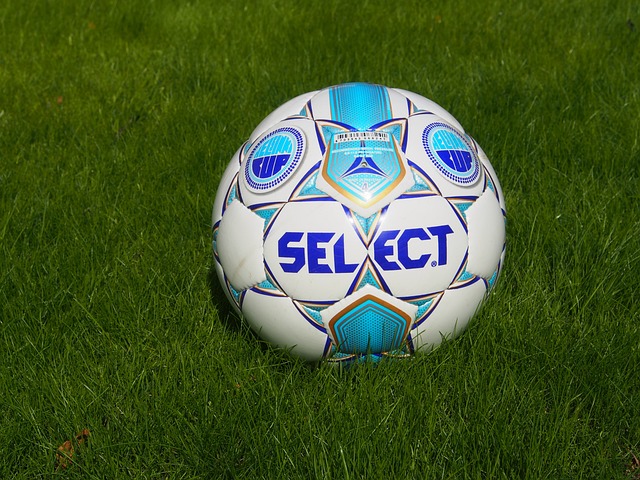 表现也为独 表现也为独