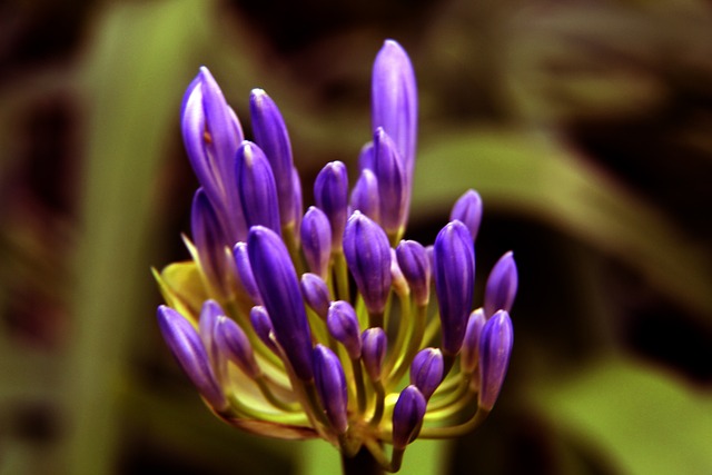 各支球队将 各支球队将