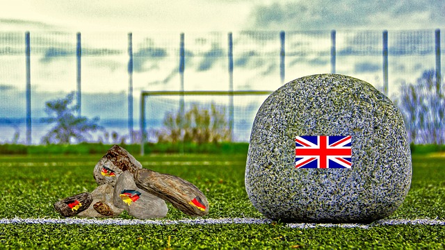 赢得了荣誉 赢得了荣誉