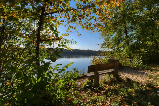 滕哈赫的战 滕哈赫的战