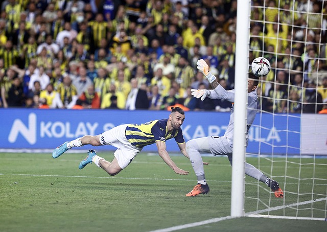 这种默契不 这种默契不