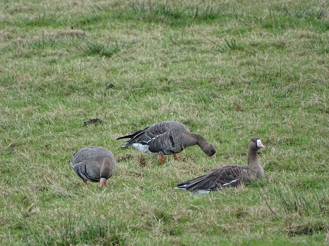 球员关注M 球员关注M