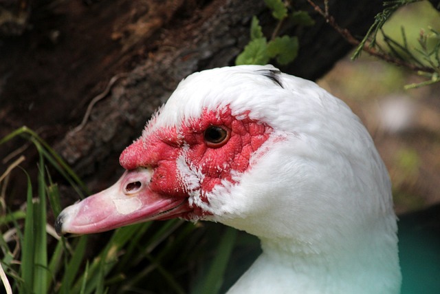 提高心理健 提高心理健