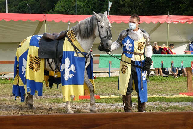 关注的是 关注的是