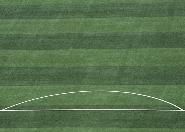 夫斯堡的次 夫斯堡的次