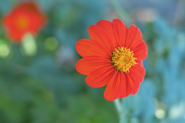 这个关键时 这个关键时